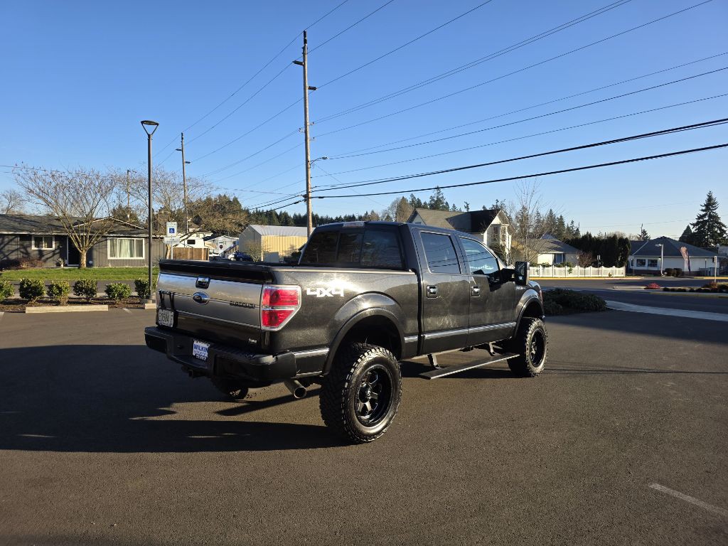 2010 Ford F-150 Image 5