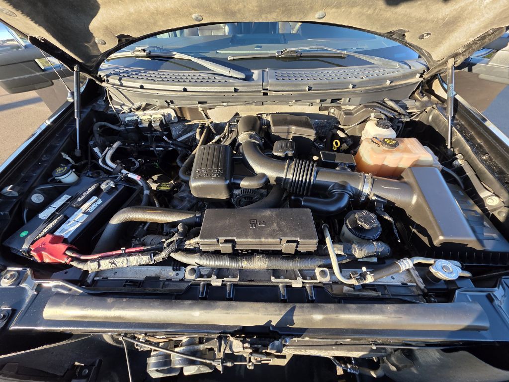 2010 Ford F-150 Image 19