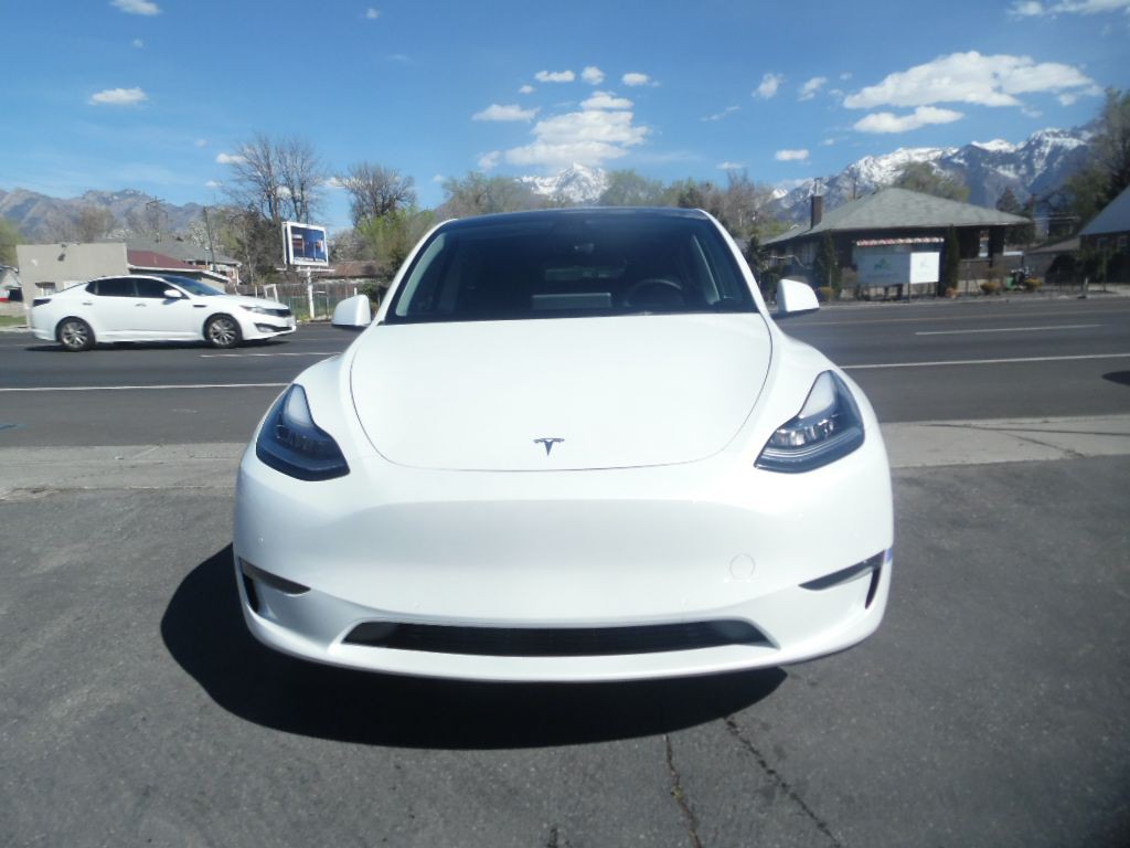 2021 Tesla Model Y Image 3