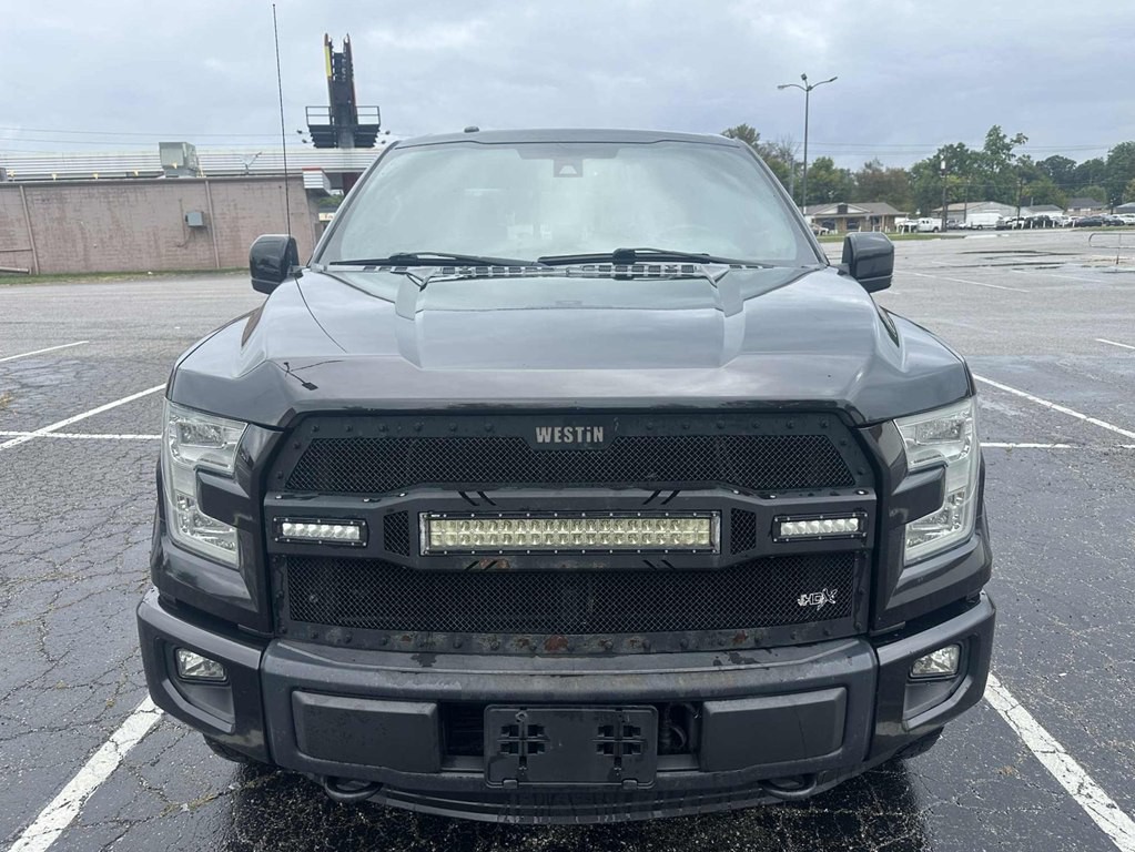 2015 Ford F-150 Image 1