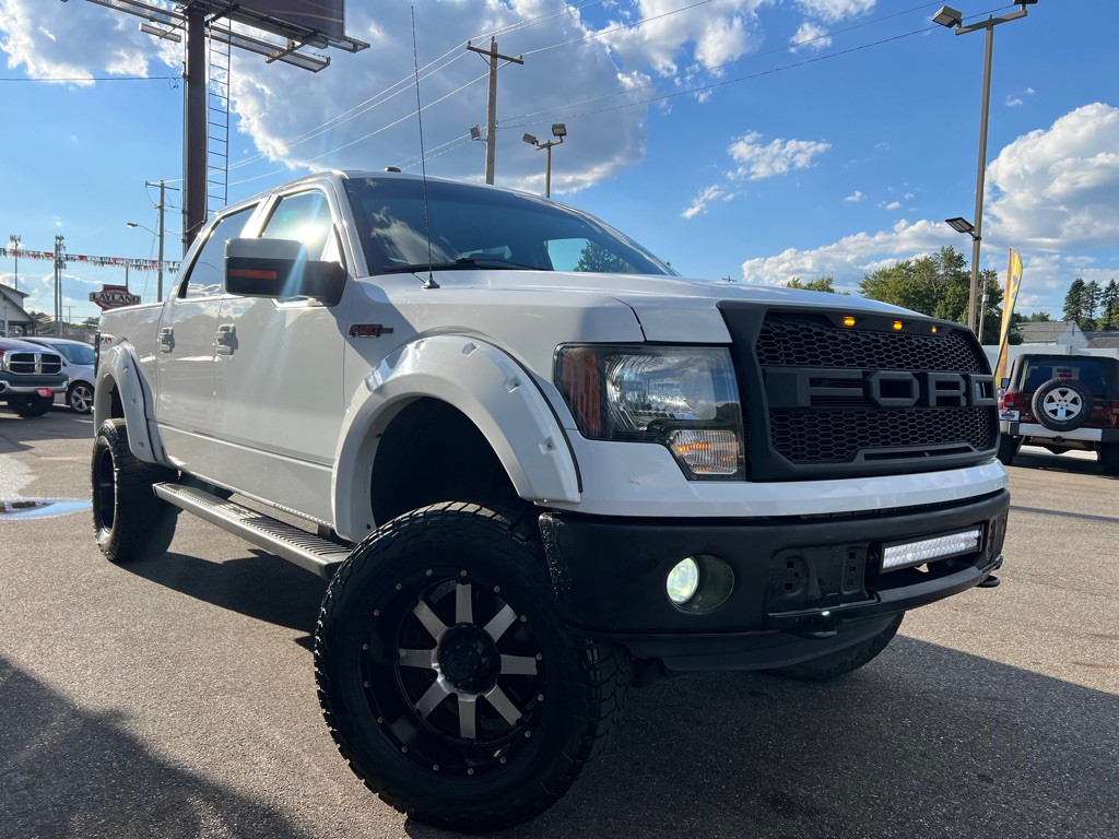 2011 Ford F-150 Image 3