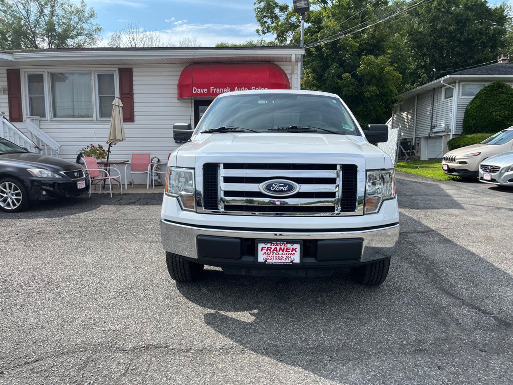 2010 Ford F-150 Image 4