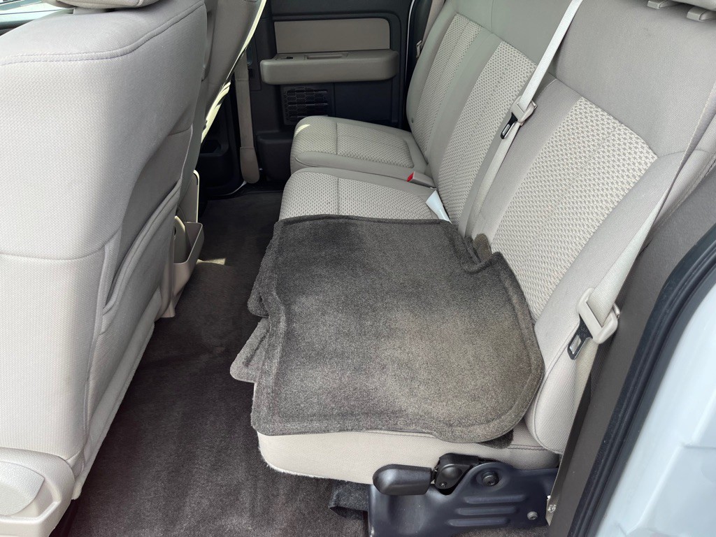 2010 Ford F-150 Image 10