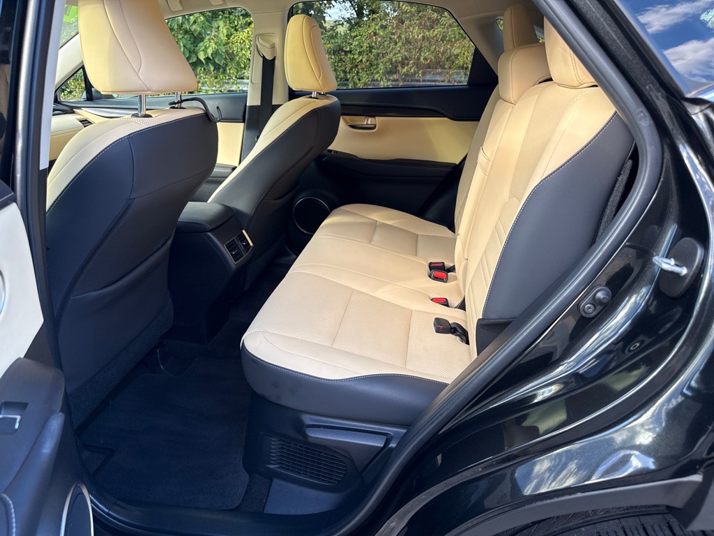 2020 Lexus NX Image 6