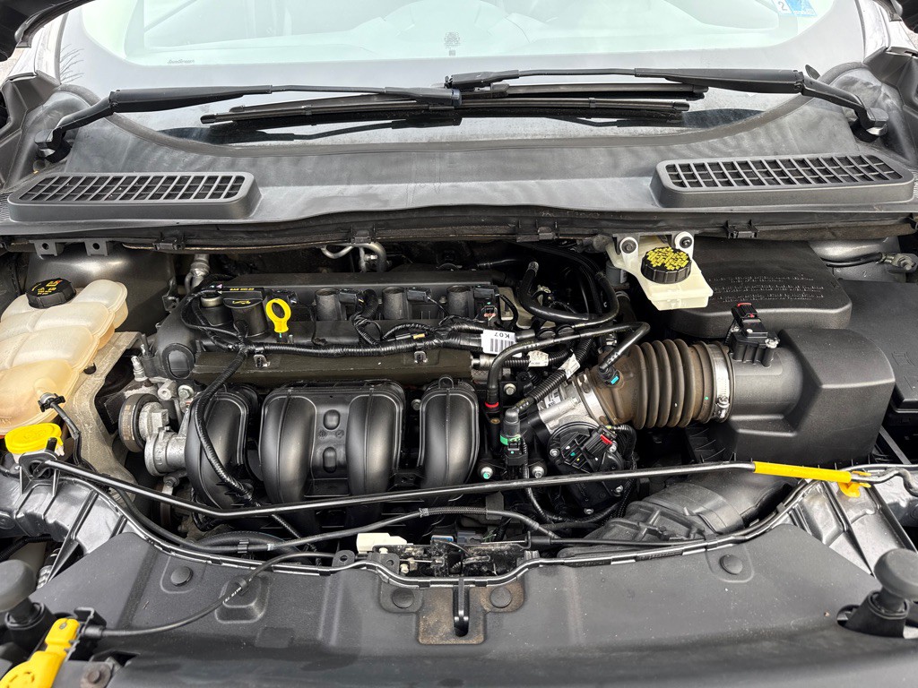 2014 Ford Escape Image 7