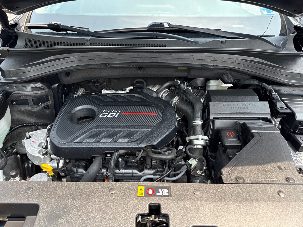 2020 Hyundai Santa Fe Image 7