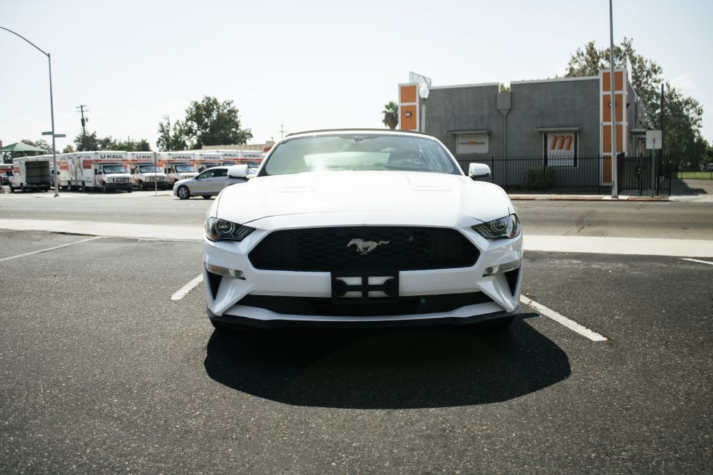 2019 Ford Mustang Image 2
