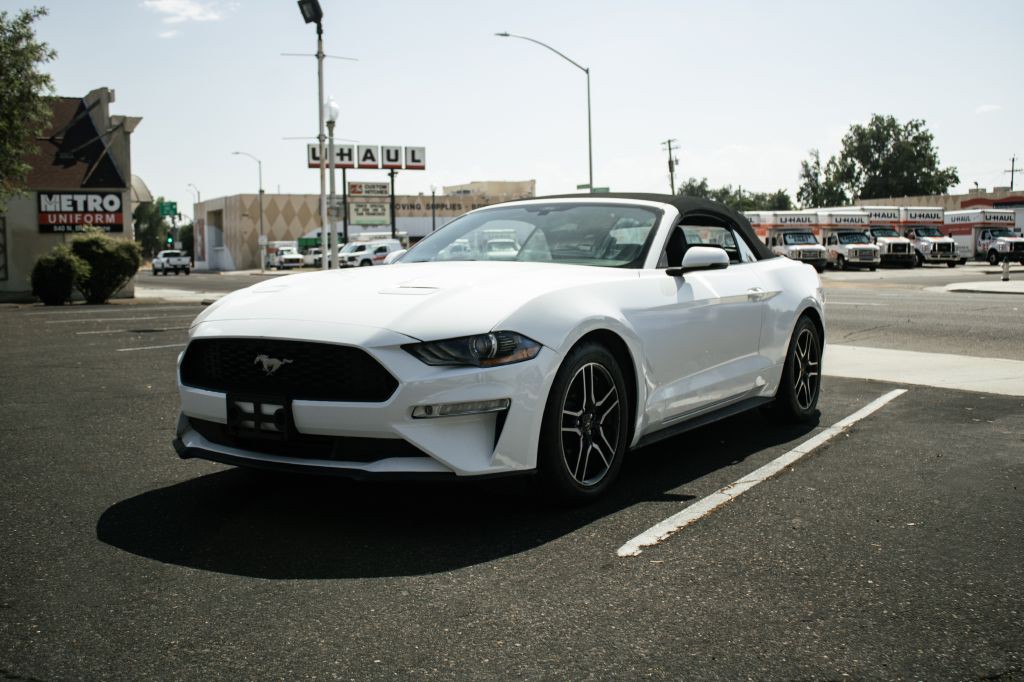 2019 Ford Mustang Image 3