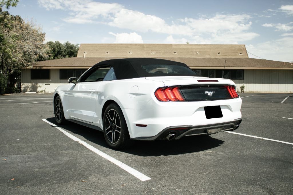 2019 Ford Mustang Image 4