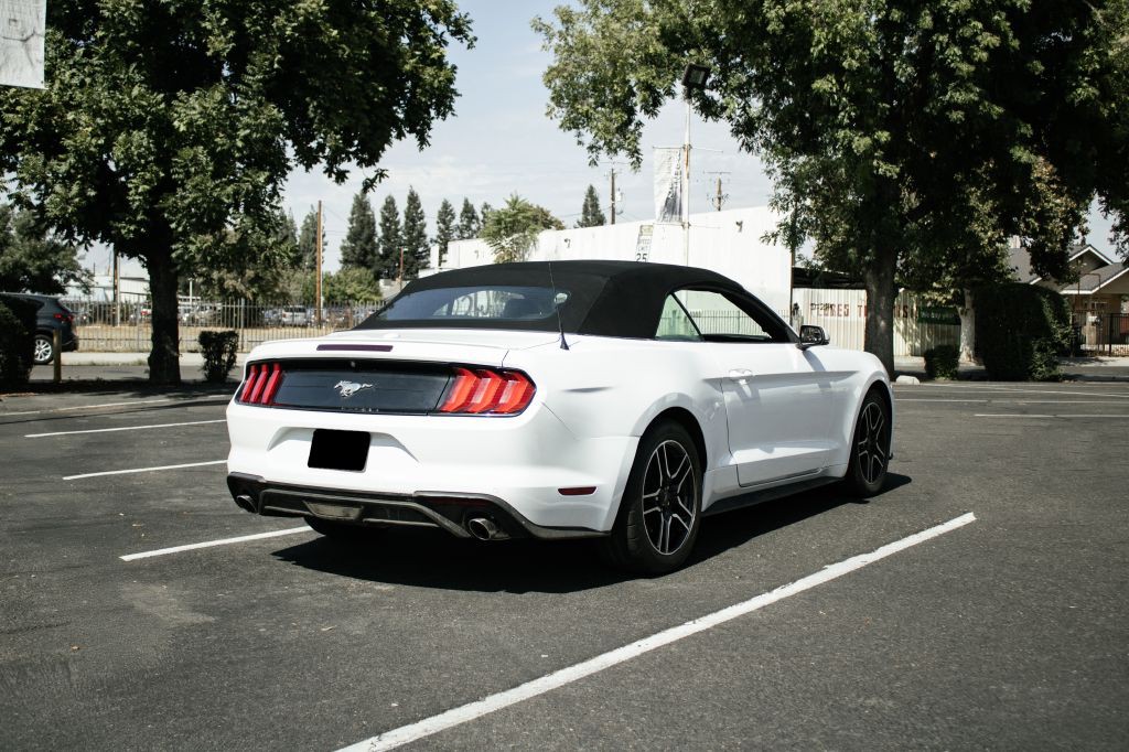 2019 Ford Mustang Image 6