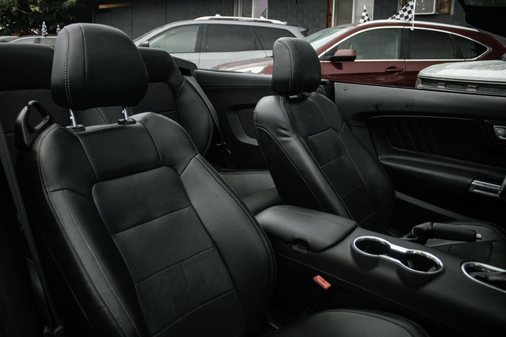 2019 Ford Mustang Image 14