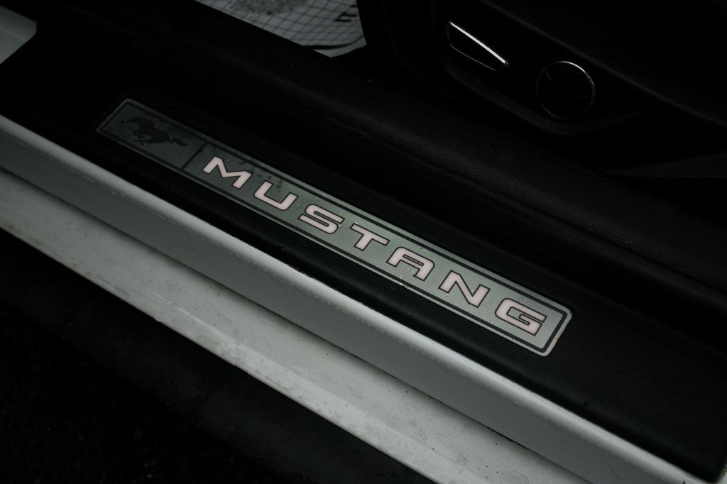 2019 Ford Mustang Image 16