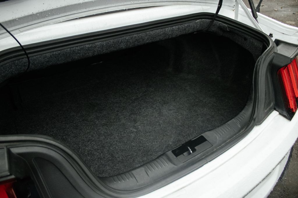 2019 Ford Mustang Image 17