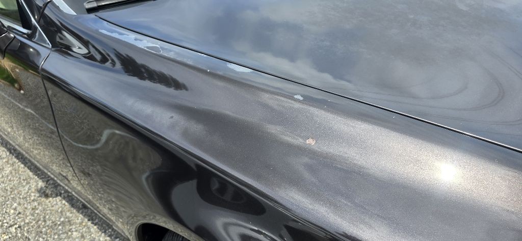 2008 Lexus LS Image 37