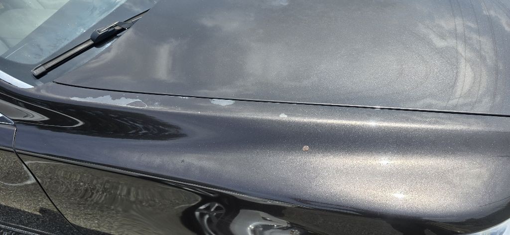 2008 Lexus LS Image 30