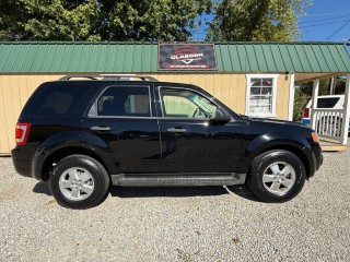 Image for 2010 Ford Escape XLT ID: 6779289