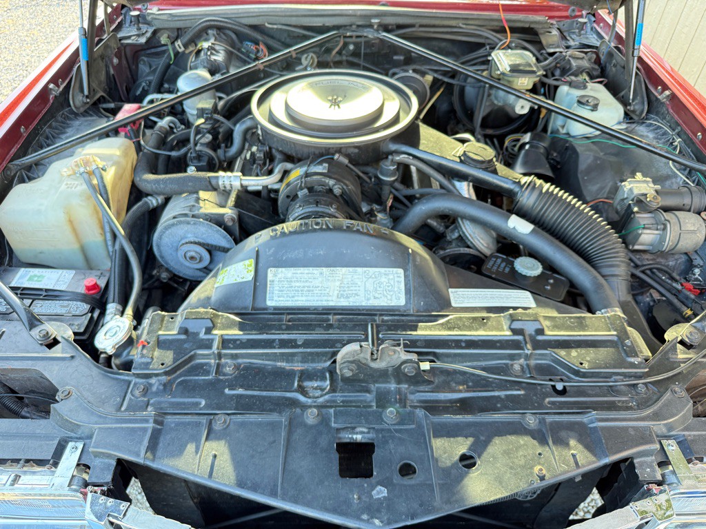 1984 Cadillac Eldorado Image 2