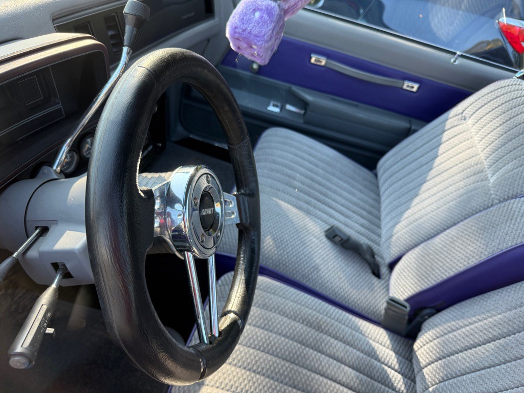 1981 Chevrolet El Camino Image 3