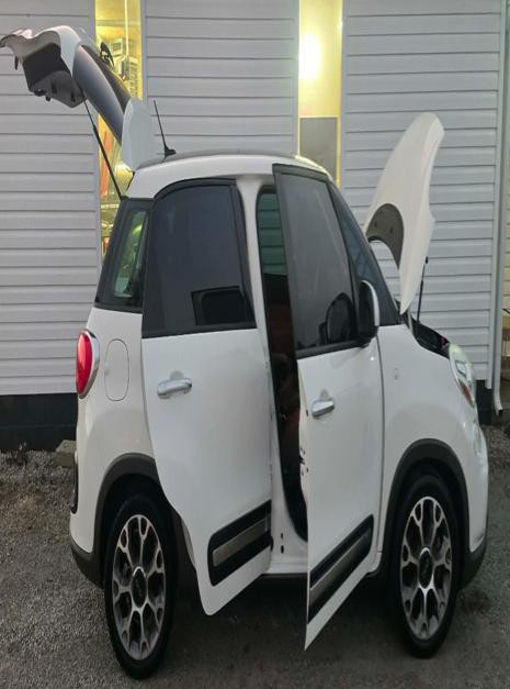 2014 FIAT 500L Image 13