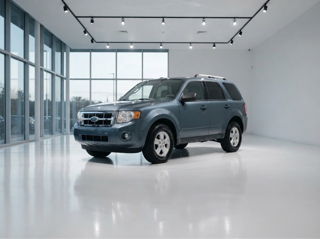 2010 Ford Escape Image 1