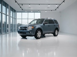 Image for 2010 Ford Escape XLT ID: 7649209