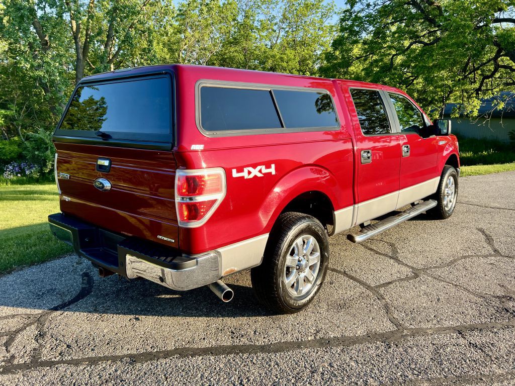 2014 Ford F-150 Image 4