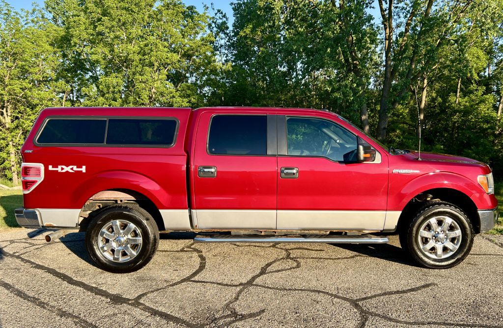 2014 Ford F-150 Image 5
