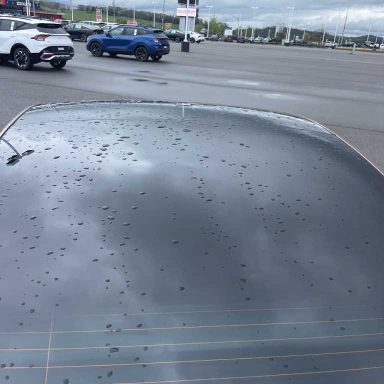 2021 Tesla Model 3 Image 16