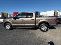 Image for 2018 Ford F-150 Supercrew ID: 7073311