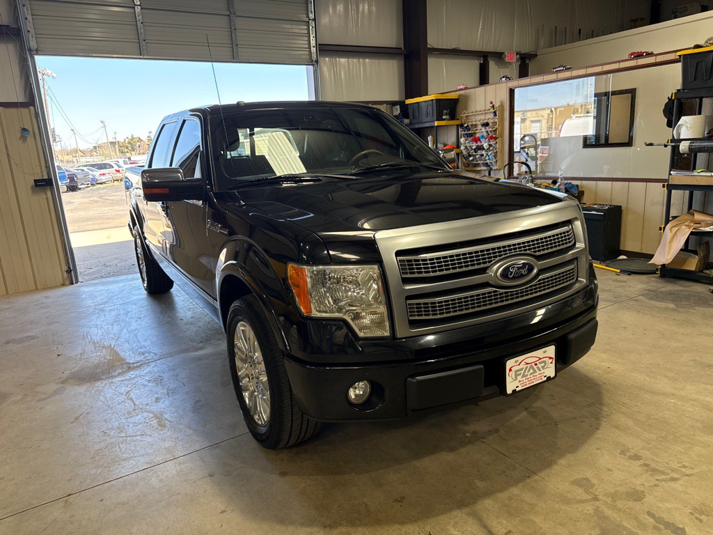 2010 Ford F-150 Image 2