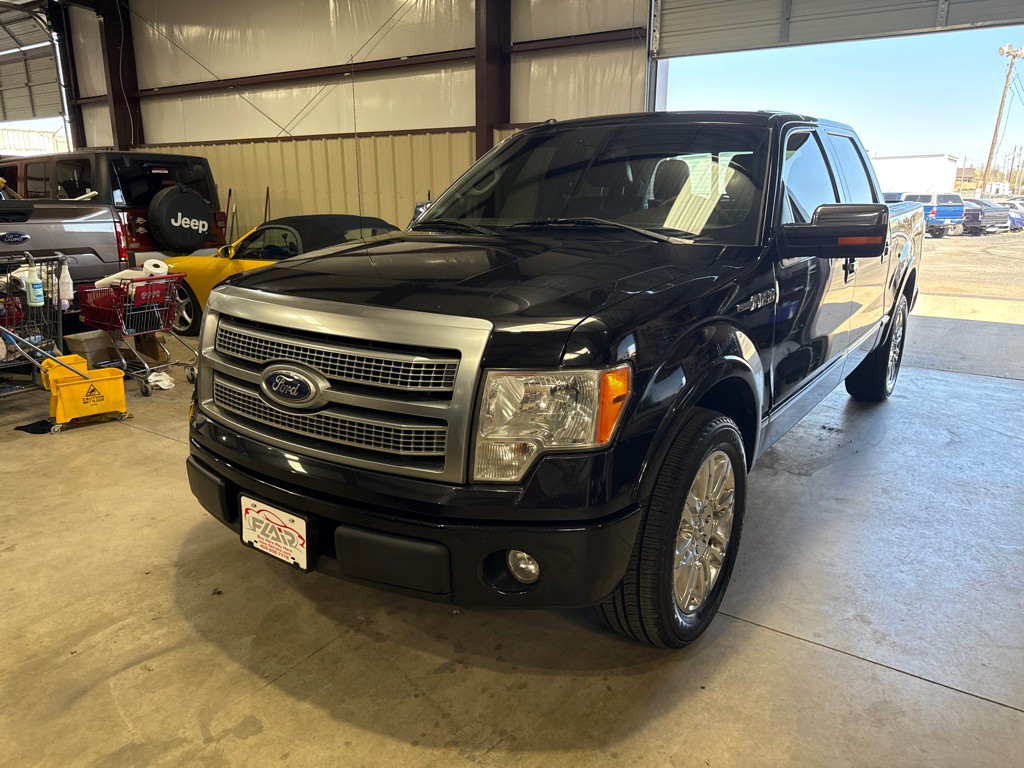 2010 Ford F-150 Image 3