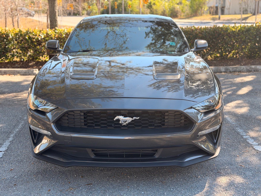 2019 Ford Mustang Image 2