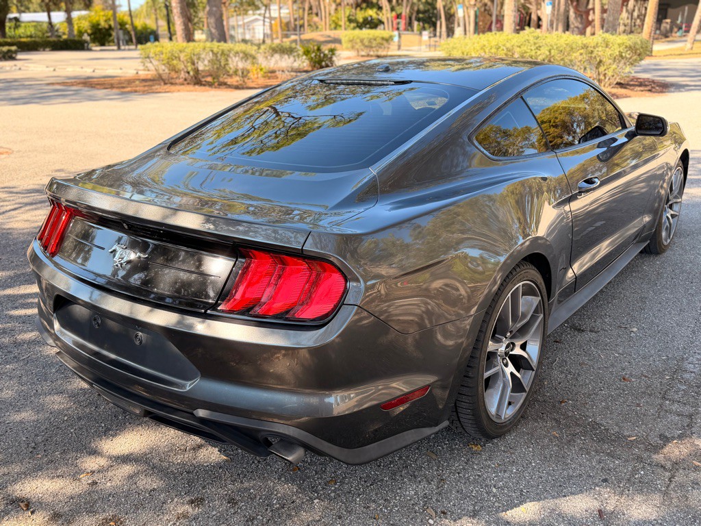 2019 Ford Mustang Image 6
