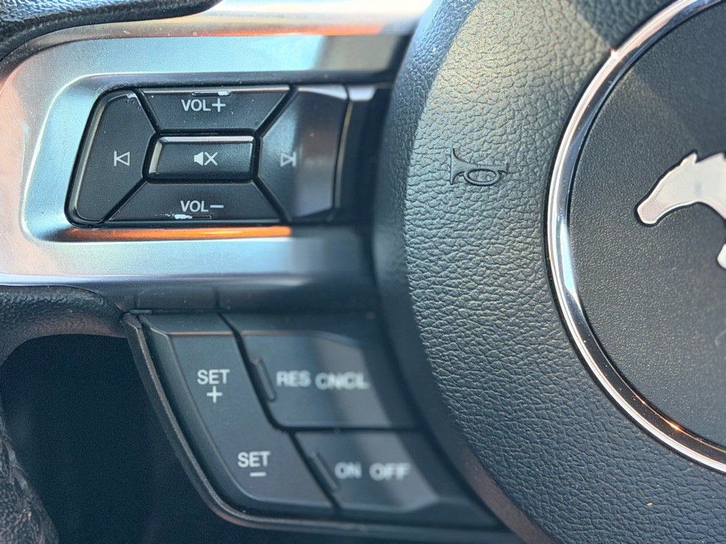 2019 Ford Mustang Image 11