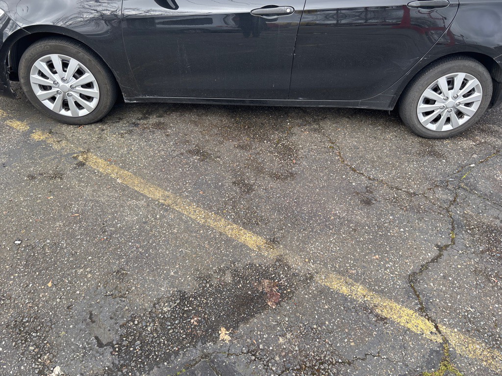 2013 Dodge Dart Image 13