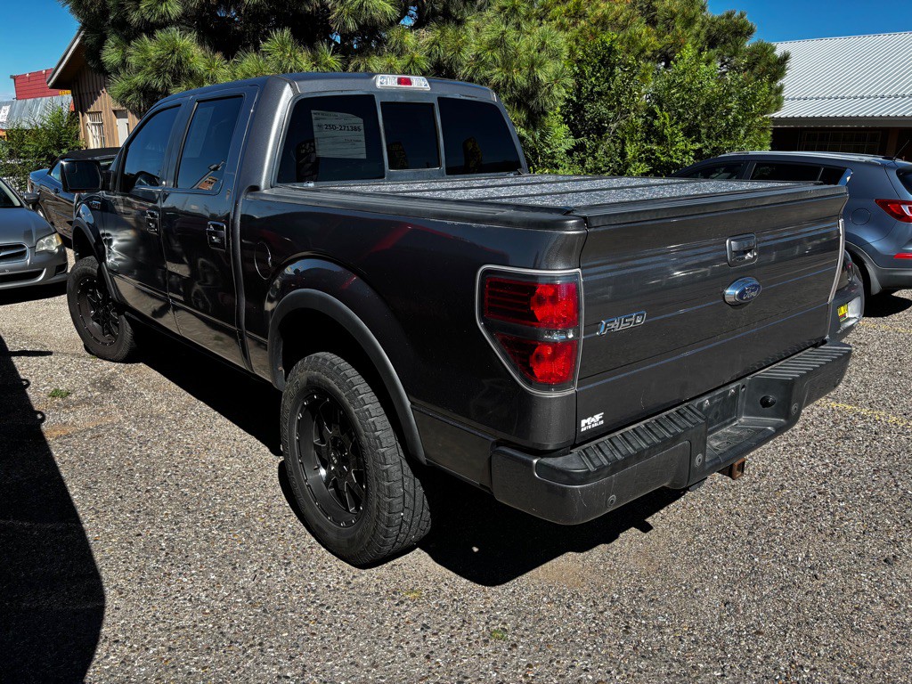 2011 Ford F-150 Image 4