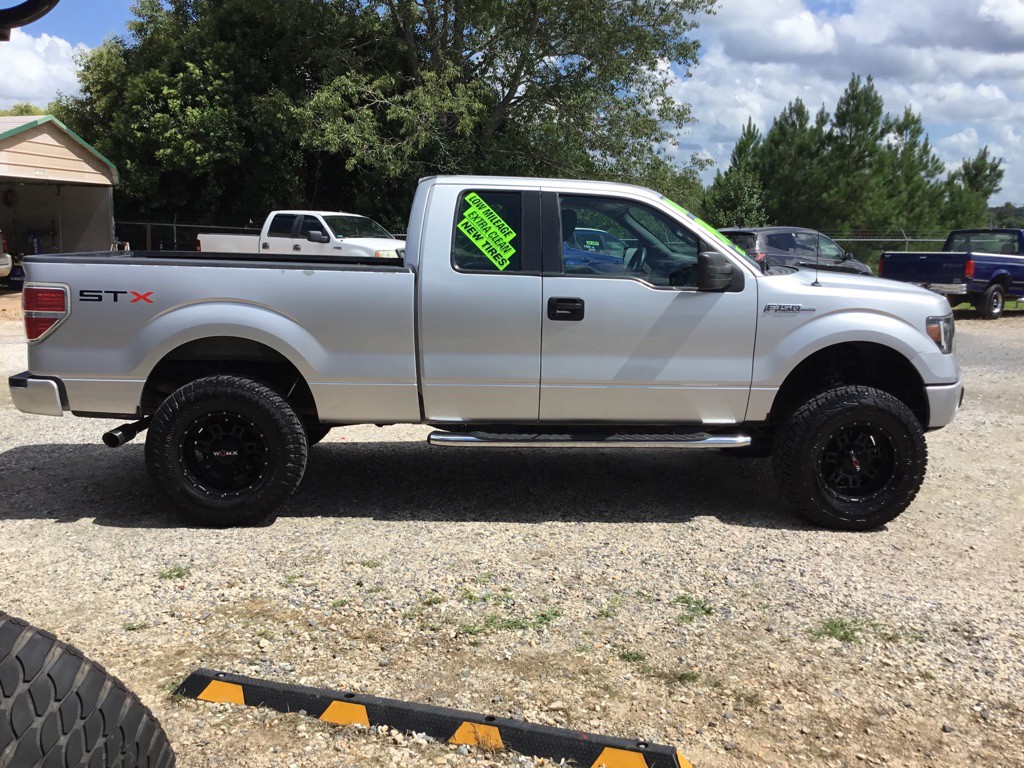 2010 Ford F-150 Image 4