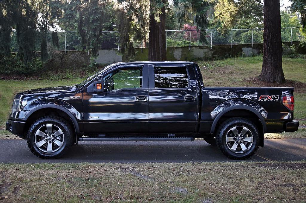 2014 Ford F-150 Image 3