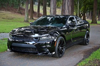 Image for 2016 Dodge Charger R/T Road and Track ID: 6932371