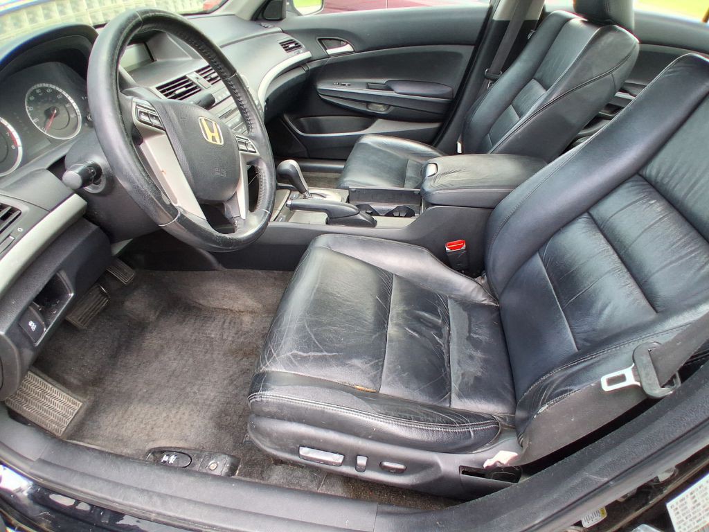 2011 Honda Accord Image 4