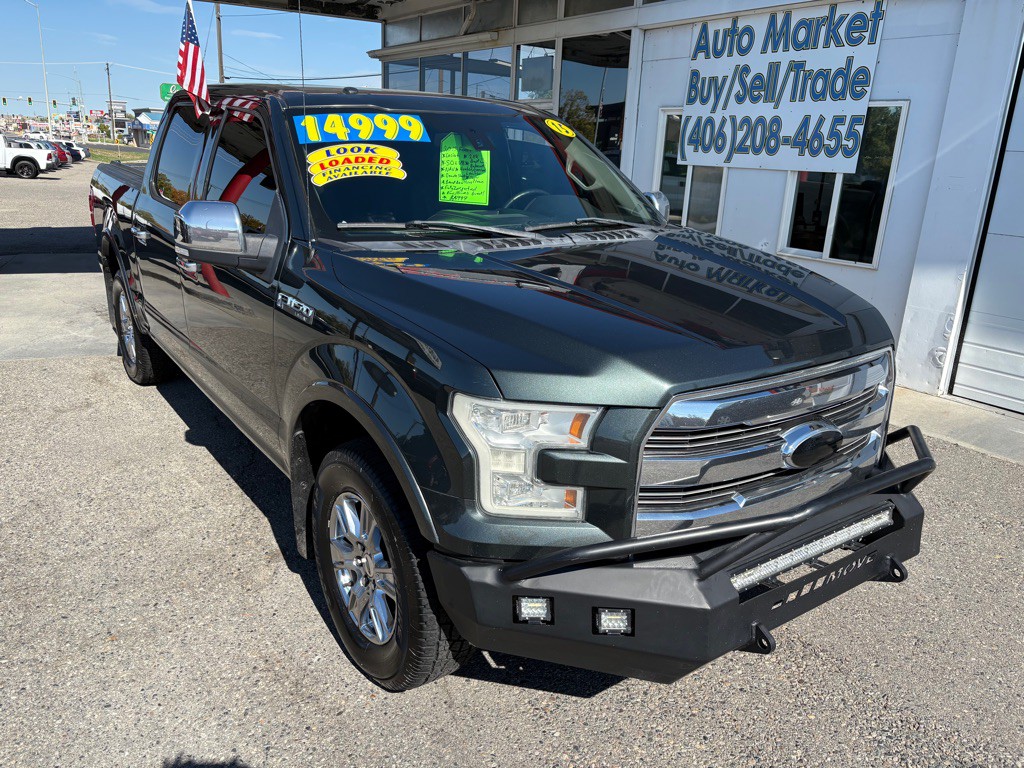 2015 Ford F-150 Image 1