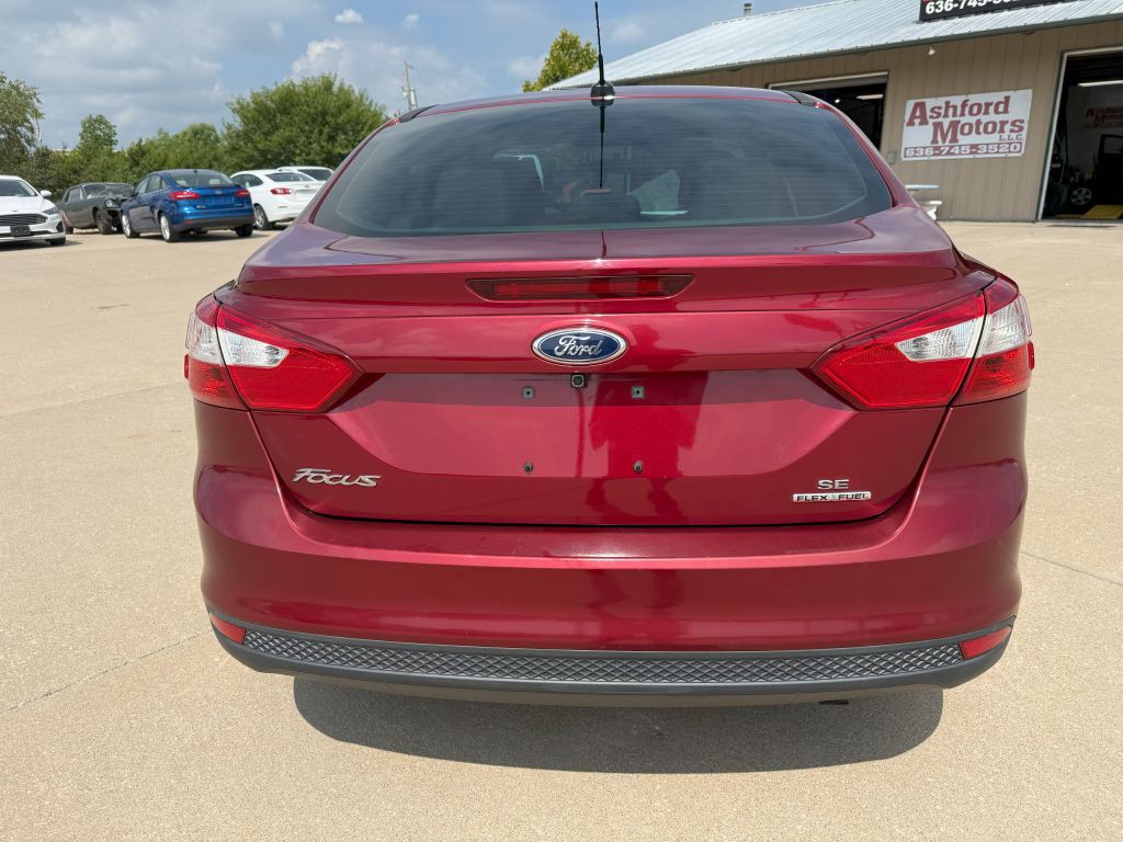 2014 Ford Focus Image 4