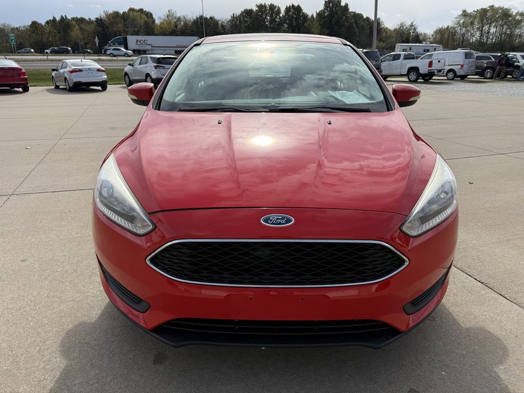 2015 Ford Focus Image 8