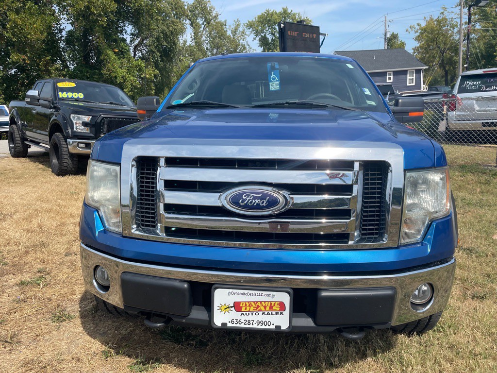 2010 Ford F-150 Image 3