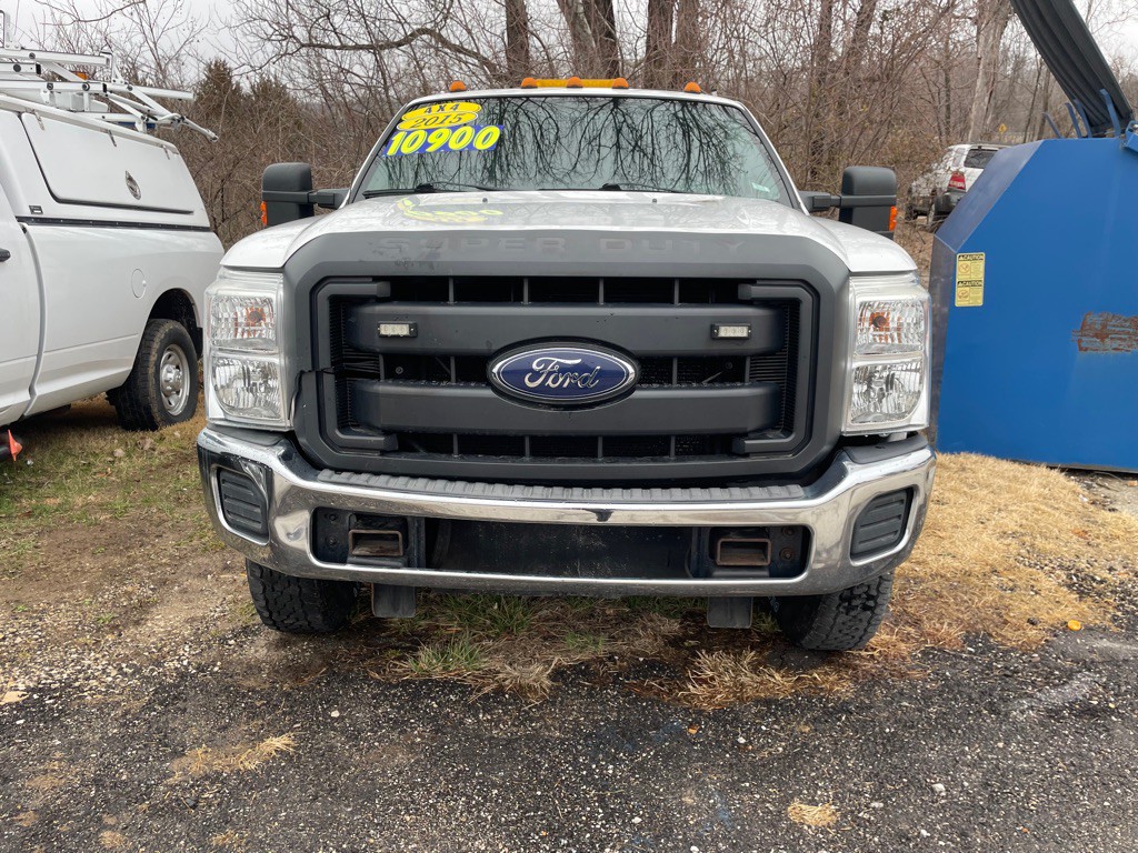 2015 Ford F-250 Image 2