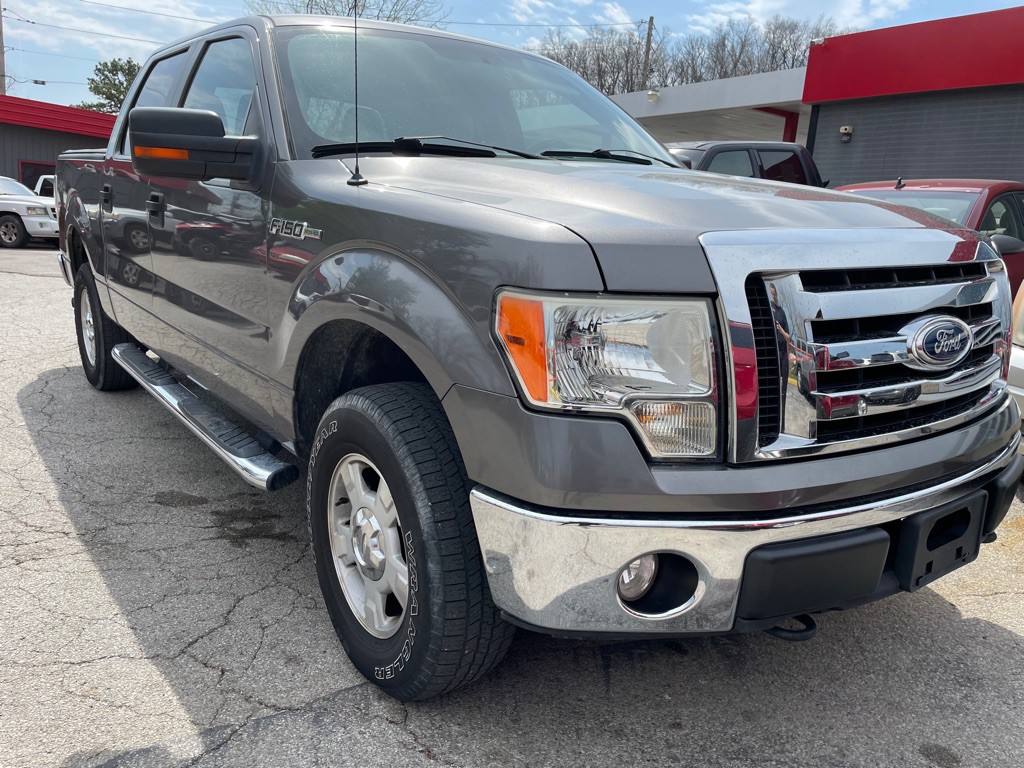 2010 Ford F-150 Image 3