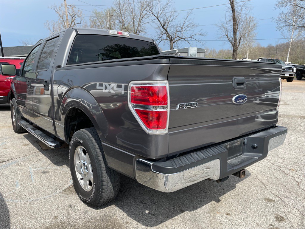 2010 Ford F-150 Image 5