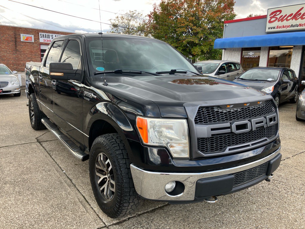 2013 Ford F-150 Image 1