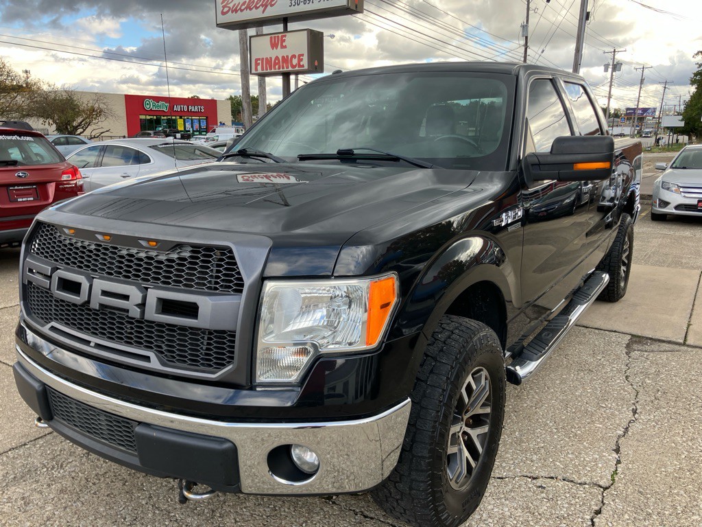 2013 Ford F-150 Image 3