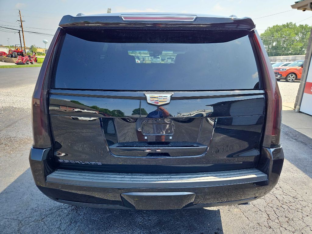 2019 Cadillac Escalade Image 6